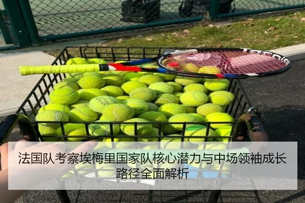 法国队考察埃梅里国家队核心潜力与中场领袖成长路径全面解析（kaiyun）